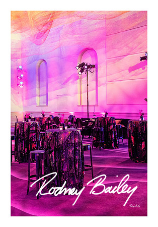 0782_1-11-25_Paul-50th-Birthday-Celebration-Renwick-Gallery-Washington-DC-Rodney-Bailey-Photography