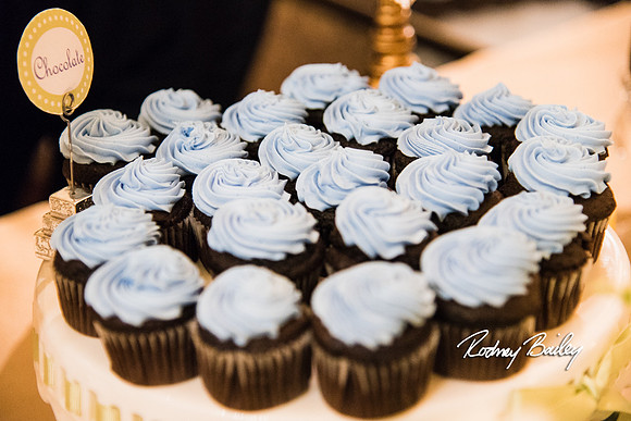 0427__3-1-15_Capital Bridal Affair and Fashion Show_The Mayflower Renaissance_Washington DC_Wedding Photography by Rodney Bailey