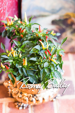 0238__10-28-14 _Bergerons Flowers_Rodney Bailey Photography
