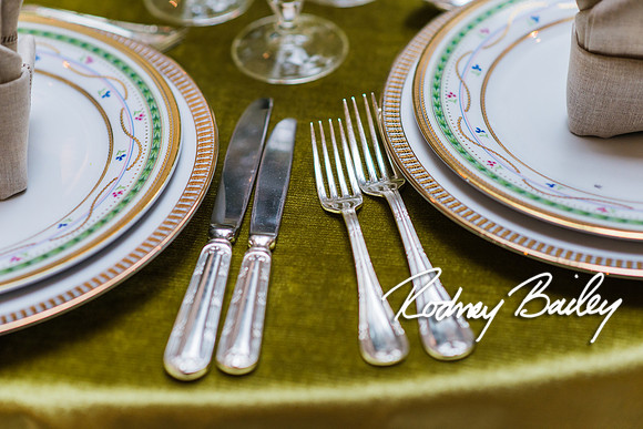 4-25-14 CORCORAN BALL DECOR_Rodney Bailey Photography_EventPhotojournalism_0511