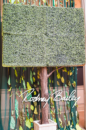 4-25-14 CORCORAN BALL DECOR_Rodney Bailey Photography_EventPhotojournalism_0020