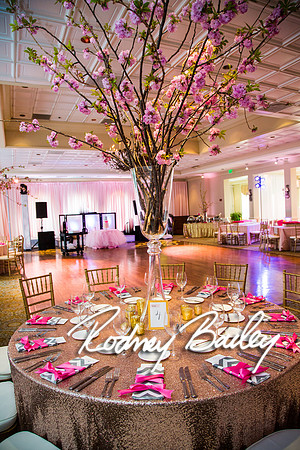 5-10-14_Mitzvah-Decor_Rodney Bailey_0059
