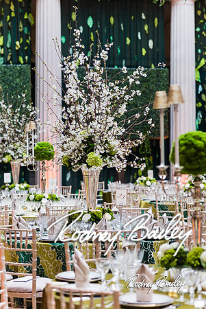 4-25-14 CORCORAN BALL DECOR_Rodney Bailey Photography_EventPhotojournalism_0239