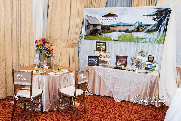 0242__3-1-15_Capital Bridal Affair and Fashion Show_The Mayflower Renaissance_Washington DC_Wedding Photography by Rodney Bailey