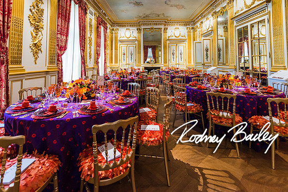 4-25-14 CORCORAN BALL DECOR_Rodney Bailey Photography_EventPhotojournalism_0586