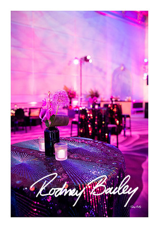 0778_1-11-25_Paul-50th-Birthday-Celebration-Renwick-Gallery-Washington-DC-Rodney-Bailey-Photography