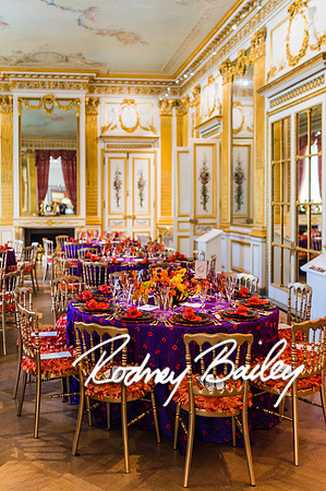 4-25-14 CORCORAN BALL DECOR_Rodney Bailey Photography_EventPhotojournalism_0171