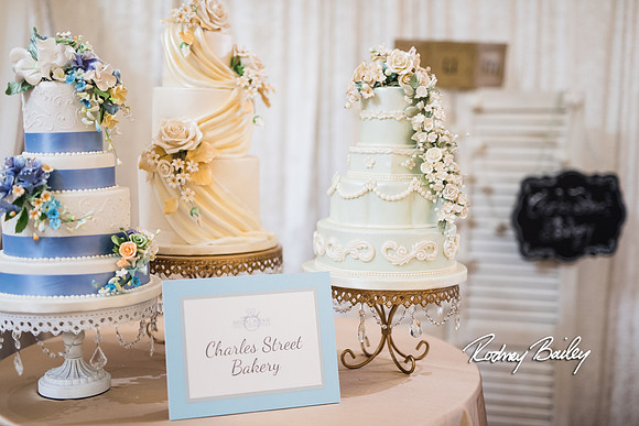 0492__3-1-15_Capital Bridal Affair and Fashion Show_The Mayflower Renaissance_Washington DC_Wedding Photography by Rodney Bailey