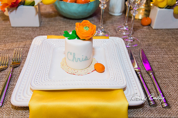 0351__3-1-15_Capital Bridal Affair and Fashion Show_The Mayflower Renaissance_Washington DC_Wedding Photography by Rodney Bailey
