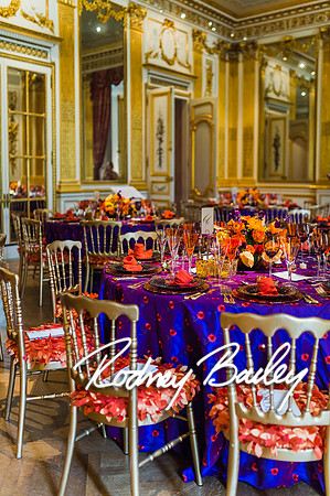 4-25-14 CORCORAN BALL DECOR_Rodney Bailey Photography_EventPhotojournalism_0382