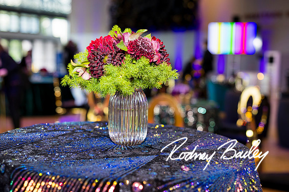 0011__8-2-25_Damien-Dwin-Celebration-National-Museum-of-African-American-Museum-Washington-DC-event-Rodney-Bailey-Photography