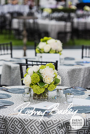 0003__0009__5-16-15 National Brain Tumor Society_Grey Soiree_Event Photojournalism_Virginia Event Photography