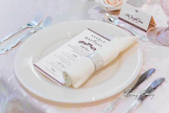 0229__3-1-15_Capital Bridal Affair and Fashion Show_The Mayflower Renaissance_Washington DC_Wedding Photography by Rodney Bailey