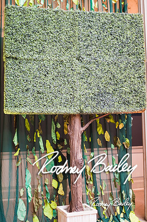 4-25-14 CORCORAN BALL DECOR_Rodney Bailey Photography_EventPhotojournalism_0020