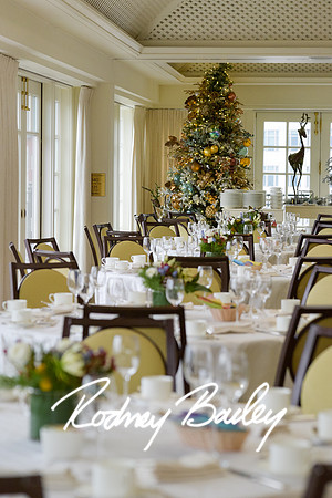 0029__12-11-22_Tishman-Speyer-Holiday-Brunch-Hay-Adams-Hotel-DC-Washington-DC-EventPhotojournalism-event-photographers