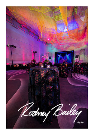 1028_1-11-25_Paul-50th-Birthday-Celebration-Renwick-Gallery-Washington-DC-Rodney-Bailey-Photography
