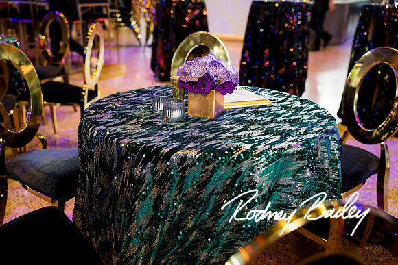 0041__8-2-25_Damien-Dwin-Celebration-National-Museum-of-African-American-Museum-Washington-DC-event-Rodney-Bailey-Photography