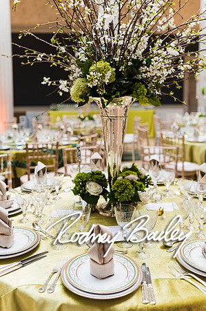 4-25-14 CORCORAN BALL DECOR_Rodney Bailey Photography_EventPhotojournalism_0010