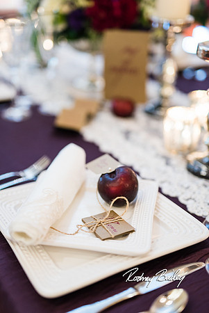 0382__3-1-15_Capital Bridal Affair and Fashion Show_The Mayflower Renaissance_Washington DC_Wedding Photography by Rodney Bailey