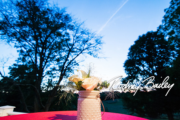 0121_9-12-14 Rockland Esates_Maryland Wedding Veue_Rodney Bailey Photography