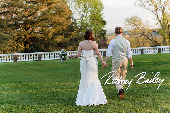 Oatlands Historic House and Gardens Weddings_wedding photography Oatlands Historic House and Gardens Virginia_Oatlands Historic House and Gardens Leesburg Virginia Wedding Photographer