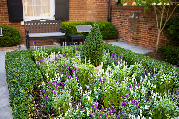 0003__Well-Dunn-Catering-Decatur-House-Washington-DC-Rodney-Bailey-Photography