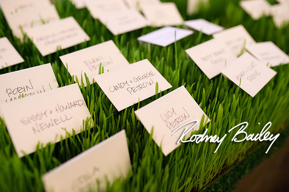 4-5-14 WILLARD DECOR_RODNEY BAILEY PHOTOGRAPHY_036