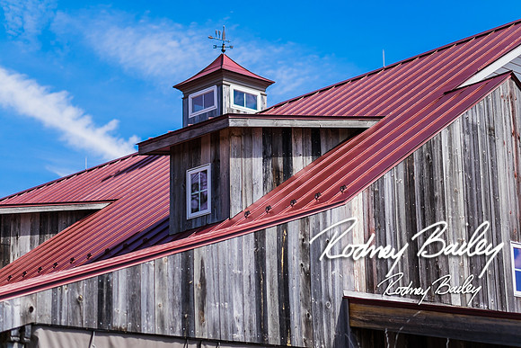__00027The Winery at Bull Run Wedding Virginia_The Winery at Bull Run Wedding Photography VA_The Winery at Bull Run Wedding Photographer Virginia_