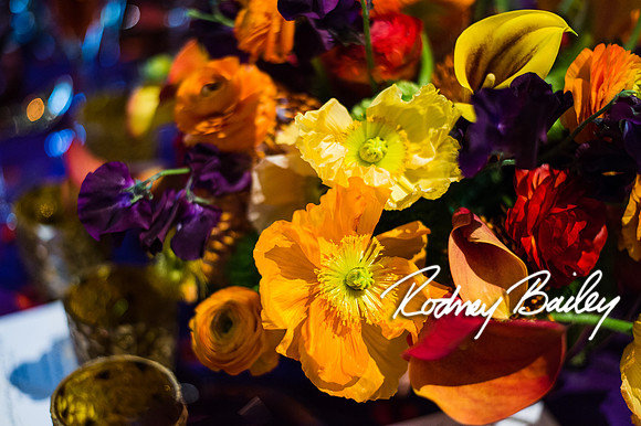 4-25-14 CORCORAN BALL DECOR_Rodney Bailey Photography_EventPhotojournalism_0169