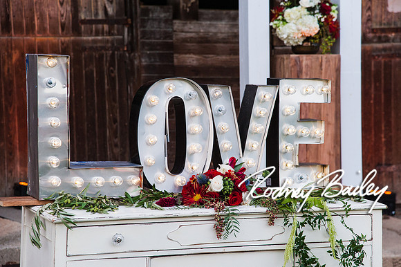 0081_9-12-14 Rockland Esates_Maryland Wedding Veue_Rodney Bailey Photography