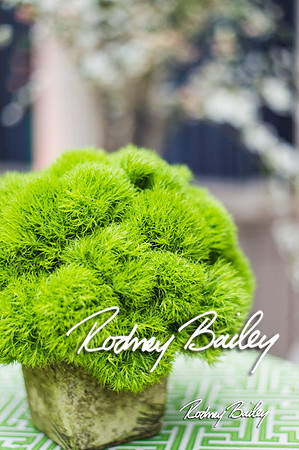4-25-14 CORCORAN BALL DECOR_Rodney Bailey Photography_EventPhotojournalism_0104