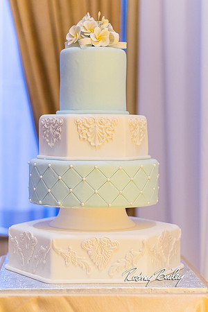 0453__3-1-15_Capital Bridal Affair and Fashion Show_The Mayflower Renaissance_Washington DC_Wedding Photography by Rodney Bailey