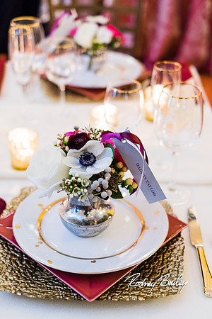 0389__3-1-15_Capital Bridal Affair and Fashion Show_The Mayflower Renaissance_Washington DC_Wedding Photography by Rodney Bailey