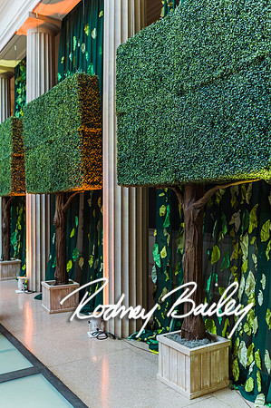 4-25-14 CORCORAN BALL DECOR_Rodney Bailey Photography_EventPhotojournalism_0362