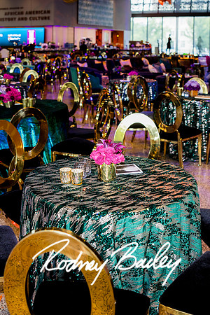 0055__8-2-25_Damien-Dwin-Celebration-National-Museum-of-African-American-Museum-Washington-DC-event-Rodney-Bailey-Photography