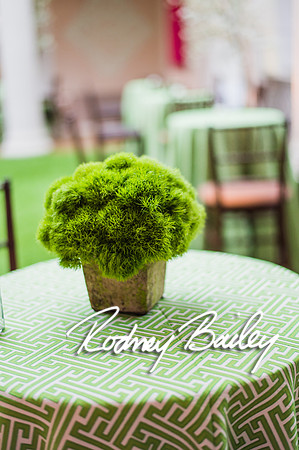 4-25-14 CORCORAN BALL DECOR_Rodney Bailey Photography_EventPhotojournalism_0102