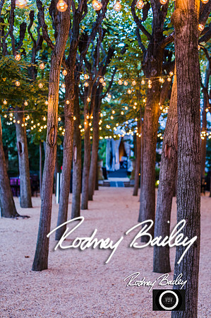 0044__10-17-14 MERIDIAN BALL_RODNEY BAILEY PHOTOGRAPHY_Meridian House Washington DC
