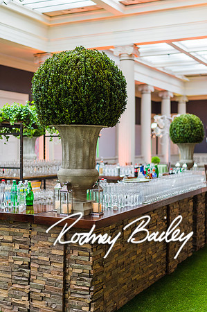 4-25-14 CORCORAN BALL DECOR_Rodney Bailey Photography_EventPhotojournalism_0459