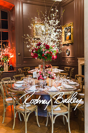 4-25-14 CORCORAN BALL DECOR_Rodney Bailey Photography_EventPhotojournalism_0392