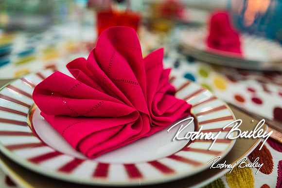4-25-14 CORCORAN BALL DECOR_Rodney Bailey Photography_EventPhotojournalism_0054