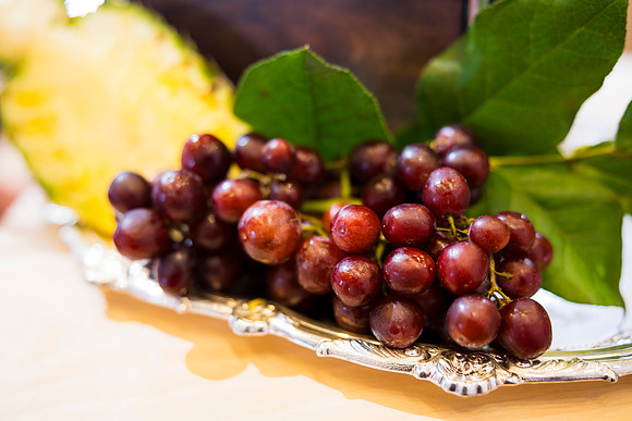 0039__Well-Dunn-Catering-Decatur-House-Washington-DC-Rodney-Bailey-Photography