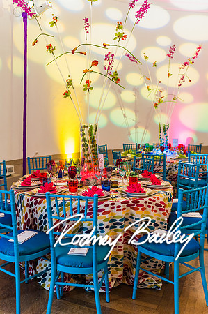 4-25-14 CORCORAN BALL DECOR_Rodney Bailey Photography_EventPhotojournalism_0126
