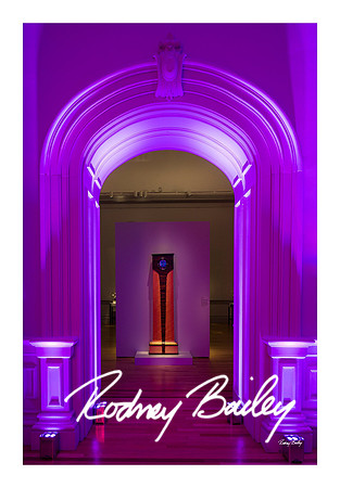 1019_1-11-25_Paul-50th-Birthday-Celebration-Renwick-Gallery-Washington-DC-Rodney-Bailey-Photography