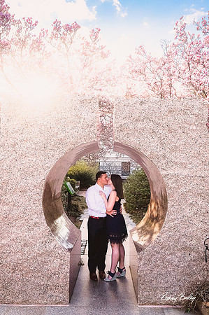 Engagement-Photographers-Proposal-Photography-Washington-DC-Rodney-Bailey-Photographer_0044