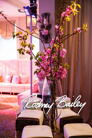 5-10-14_Mitzvah-Decor_Rodney Bailey_0153