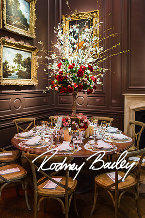 4-25-14 CORCORAN BALL DECOR_Rodney Bailey Photography_EventPhotojournalism_0410