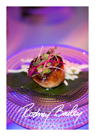 0868_1-11-25_Paul-50th-Birthday-Celebration-Renwick-Gallery-Washington-DC-Rodney-Bailey-Photography