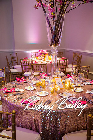 5-10-14_Mitzvah-Decor_Rodney Bailey_0152