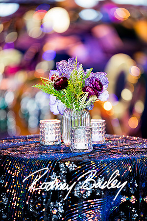 0026__8-2-25_Damien-Dwin-Celebration-National-Museum-of-African-American-Museum-Washington-DC-event-Rodney-Bailey-Photography