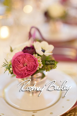 0099_3-1-15_ C a p i t a l   B r i d a l   A f f a i r  &  F a s h i o n   S h o w_Rodney Bailey Wedding Photography Washington DC_Mayflower Hotel DC